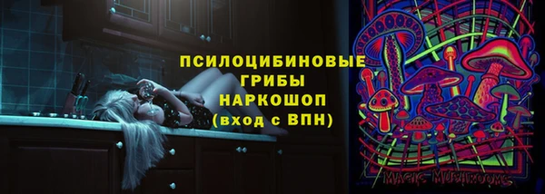 соль ск Пересвет